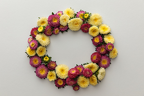 wreath of yellow and purple asters on white background with copy space