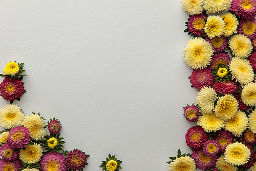 top view of yellow and purple asters on white background with copy space