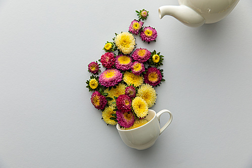 top view of asters poring from teapot in cup on white background
