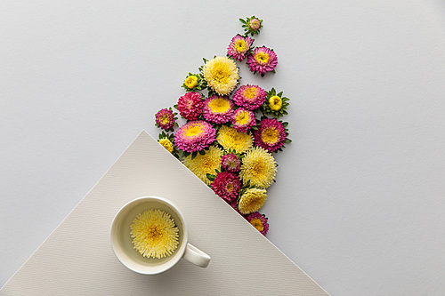 top view of yellow and purple asters, cup and blank paper on white background