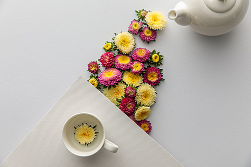 top view of asters near teapot and cup on white background