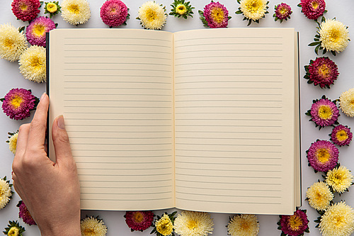 cropped view of woman holding blank notebook near yellow and purple asters on white background