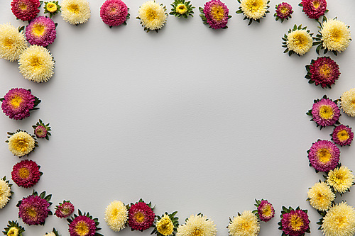 top view of yellow and purple asters on white background with copy space