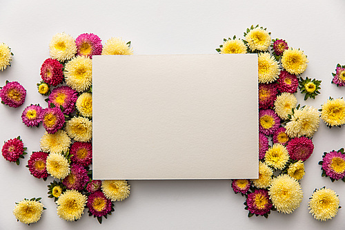 top view of yellow and purple daisy flowers with blank paper on white background