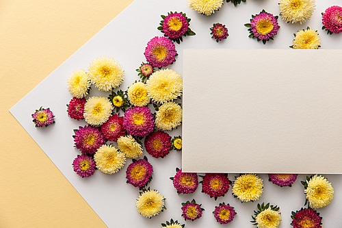 top view of yellow and purple daisy flowers with blank paper on white and yellow background