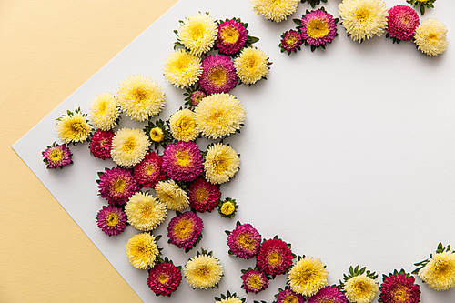 top view of yellow and purple asters on blank paper on yellow background