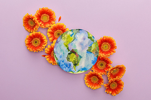 top view of orange gerbera flowers and painted planet Earth on violet background