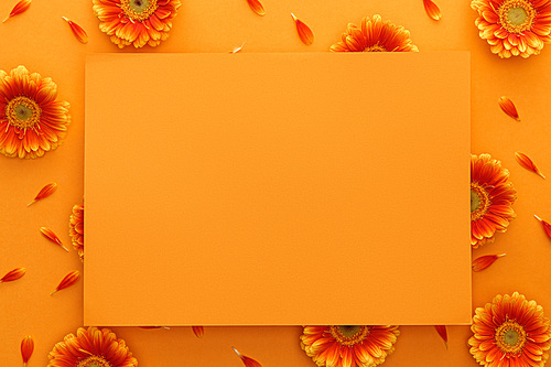 top view of gerbera flowers and empty card on orange background