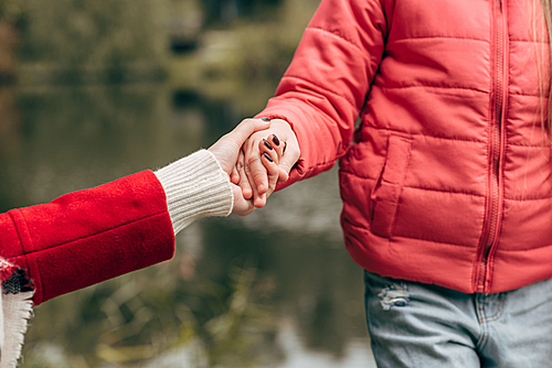 close-up partial view of mother and daughter holding hands while walking together in park