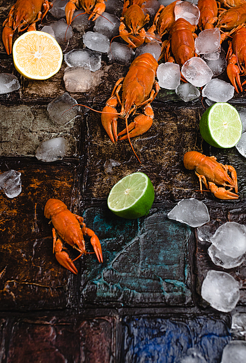 close-up view of delicious lobsters with ice cubes and citrus fruits on brick wall surface