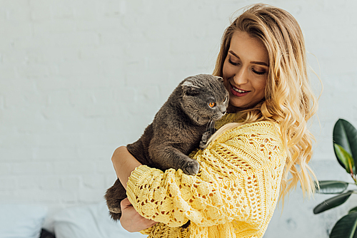 beautiful smiling girl in knitted sweater holding cute scottish fold cat