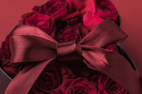 close up view of roses in heart shaped gift box with ribbon isolated on red, st valentines day holiday concept