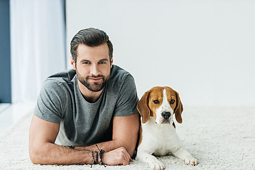 handsome man lying with cute beagle on carpet and 