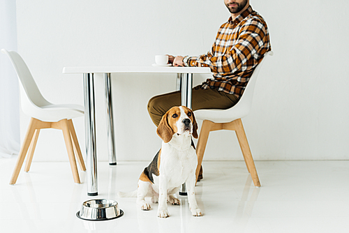 cropped image of man drinking coffee, dog sitting on floor