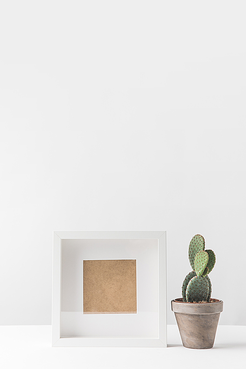 close-up view of beautiful green potted cactus and empty photo frame on white