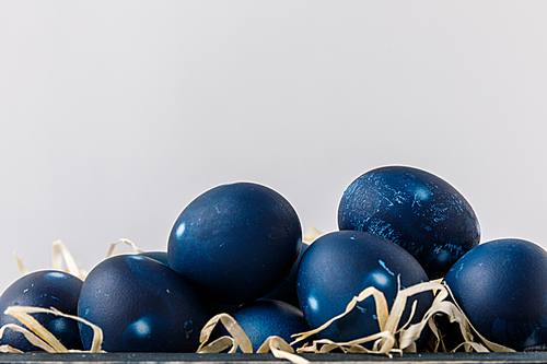 blue painted easter eggs on decorative hay isolated on white
