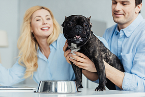 Man hugging french bulldog on kitchen table by blonde girlfriend