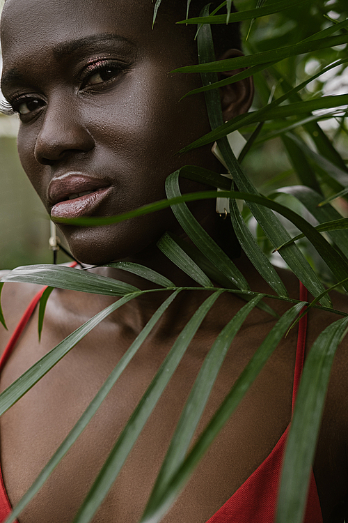 portrait of attractive african american girl with green palm leaves