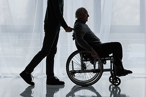 Young man helping senior man in wheelchair