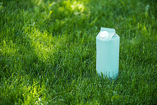 close up view of blank blue milk package on green lawn