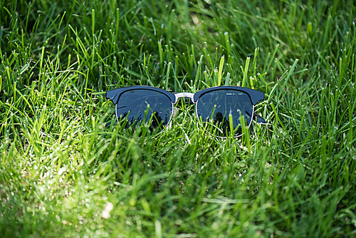 close up view of stylish sunglasses on green grass