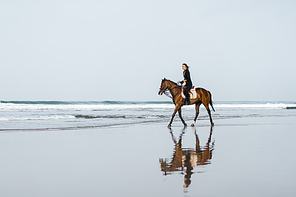 distant view of woman riding horse on sandy beach with ocean behind