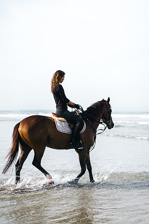 side view of young female equestrian riding horse in water