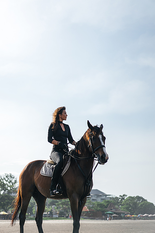 low angle view of female equestrian sitting on horse