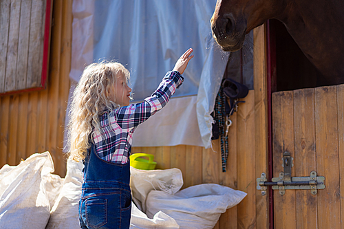 side view of kid going to touch horse at farm