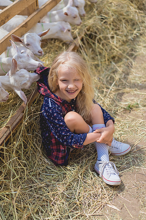high angle view of smiling kid sitting on hay near goats behind fences at farm