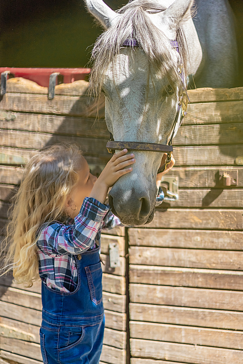 preteen kid touching horse at farm