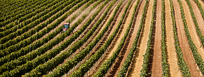 panoramic view of tractor on agricultural field with rows of plants