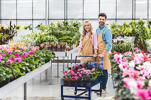 Smiling gardeners holding cart with flowers in glasshouse