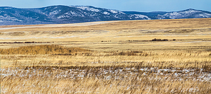 beautiful landscape with dry grass and snow capped mountains, krasnoyarsk region, russia