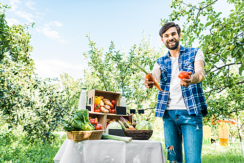 happy farmer showing ripe ecological vegetables at farmer market