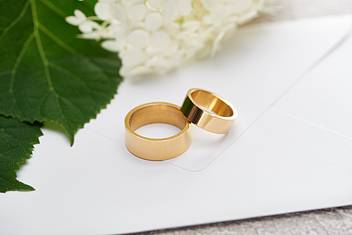 golden wedding rings on white envelope near hortense flower