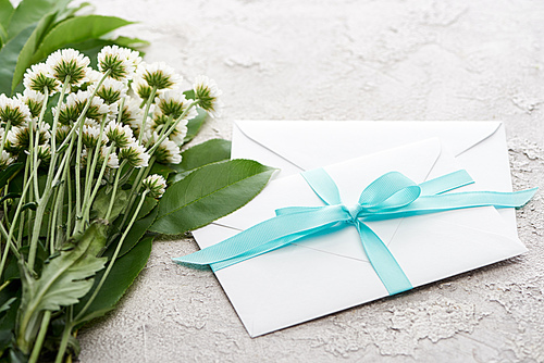 white envelopes with blue ribbon near chrysanthemums on grey textured surface