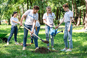 friends planting new trees in park