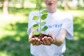 cropped view of volunteer holding ground with seedling in hands