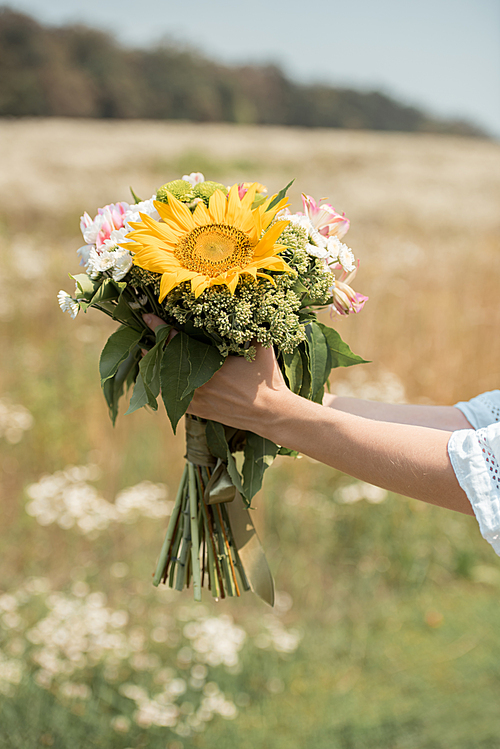 cropped shot of woman holding bouquet of wild flowers in field