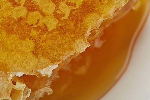 close up view of delicious raw textured Honeycomb