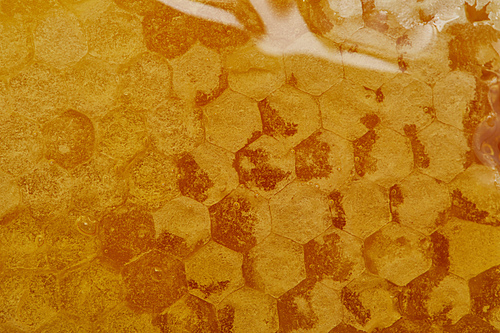 close up view of hexagon pattern on delicious textured honeycomb