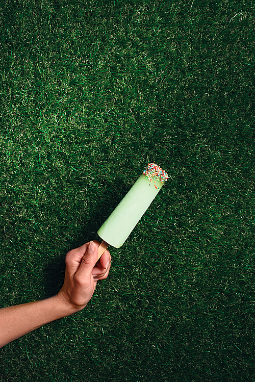 Delicious popsicle in hand on green grass background