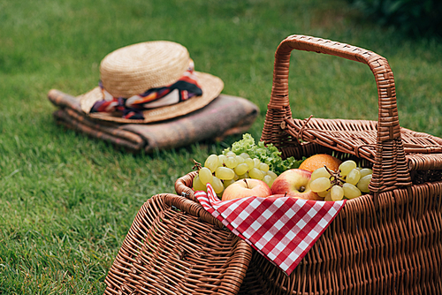 delicious fruits in basket on green grass at picnic