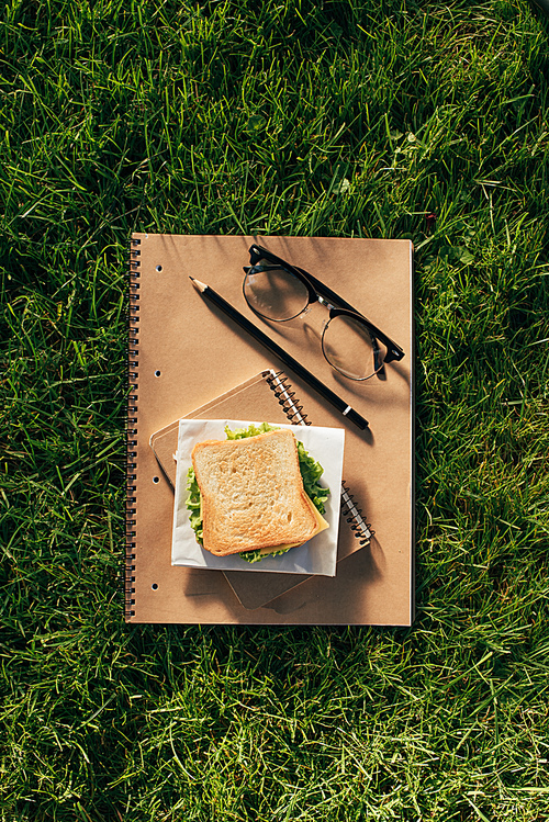 top view of arranged notebooks, eyeglasses and sandwich on green grass
