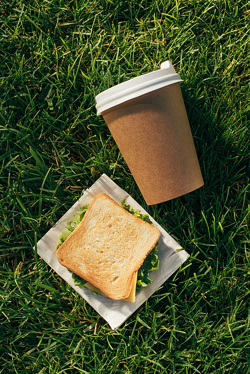 top view of disposable cup of coffee and sandwich on napkin on green grass
