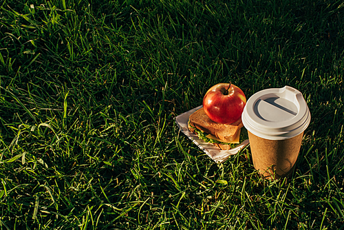 close up view of coffee to go, sandwich and apple on green grass