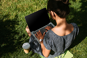 back view of freelancer working on laptop on green lawn in park