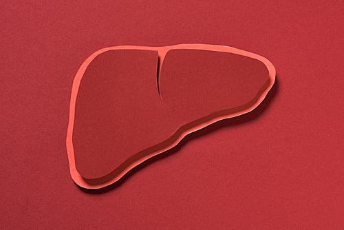 elevated view of liver on red background