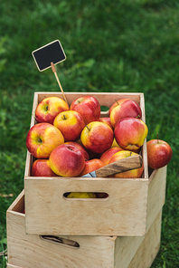 red fresh picked apples and knife in boxes with tag for sale